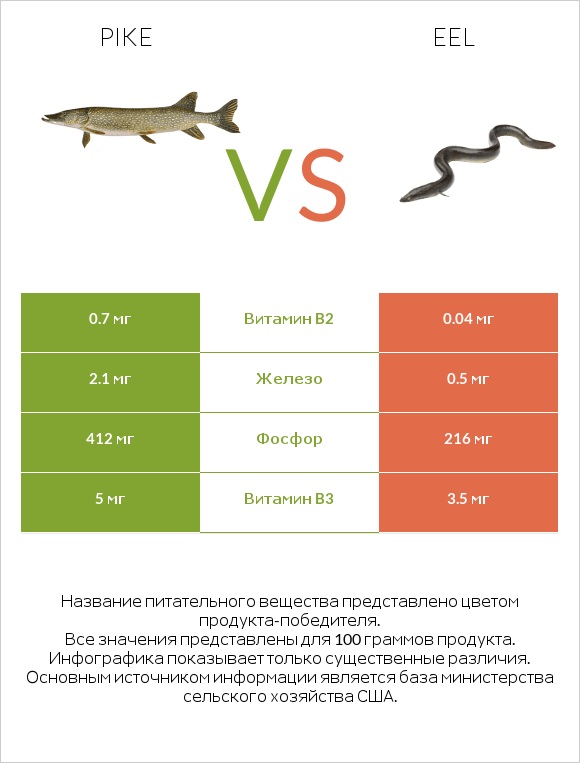 Pike vs Eel infographic