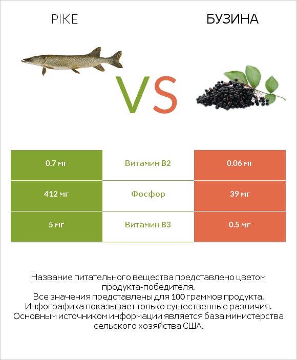 Pike vs Бузина infographic