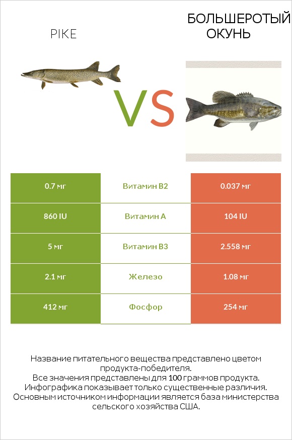 Pike vs Большеротый окунь infographic