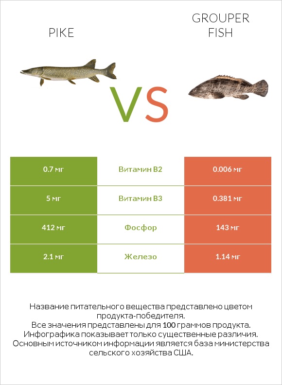 Pike vs Grouper fish infographic