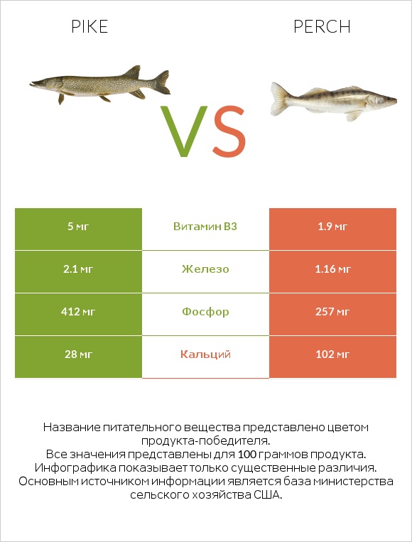 Pike vs Perch infographic