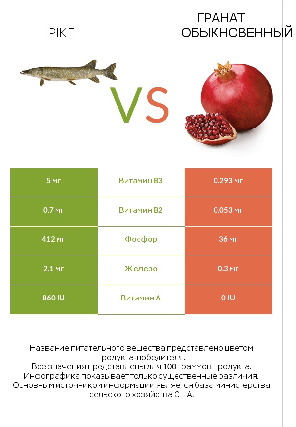 Pike vs Гранат обыкновенный infographic
