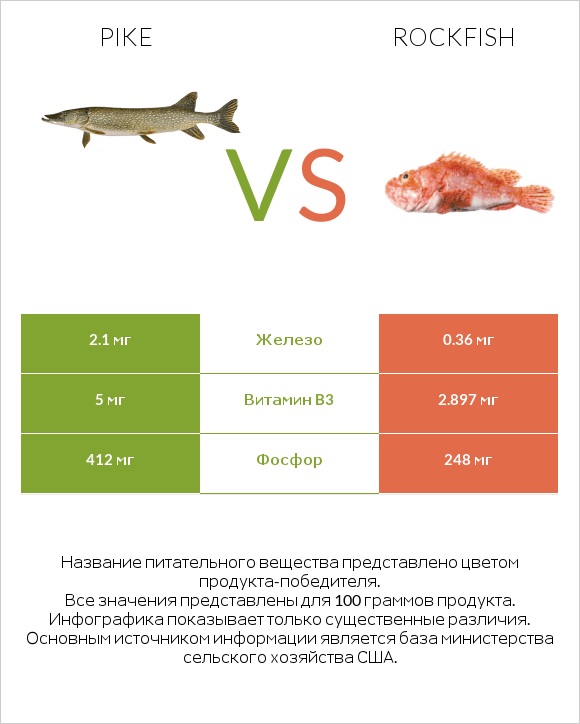 Pike vs Rockfish infographic