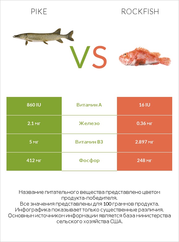 Pike vs Rockfish infographic