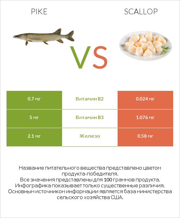 Pike vs Scallop infographic