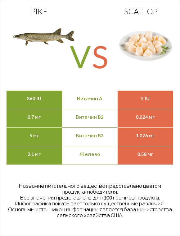 Pike vs Scallop infographic