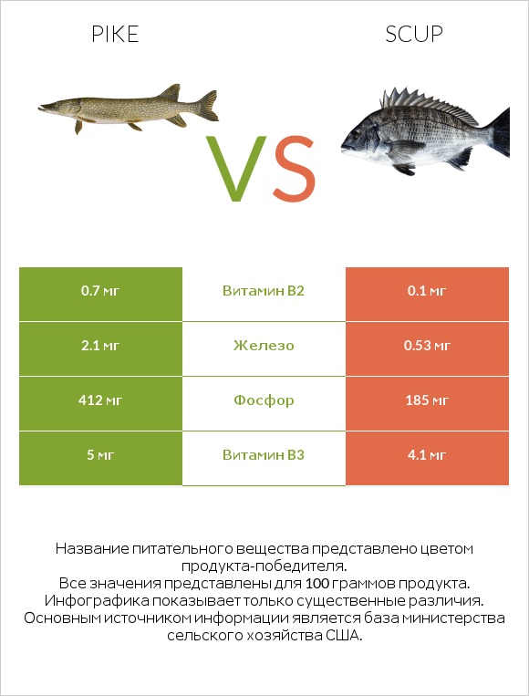 Pike vs Scup infographic