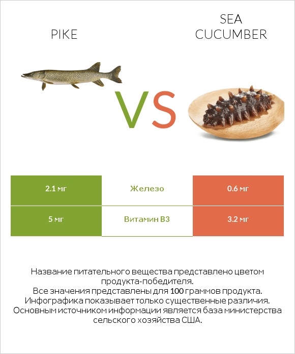 Pike vs Sea cucumber infographic