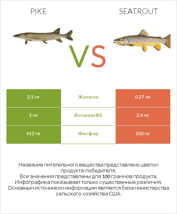 Pike vs Seatrout infographic