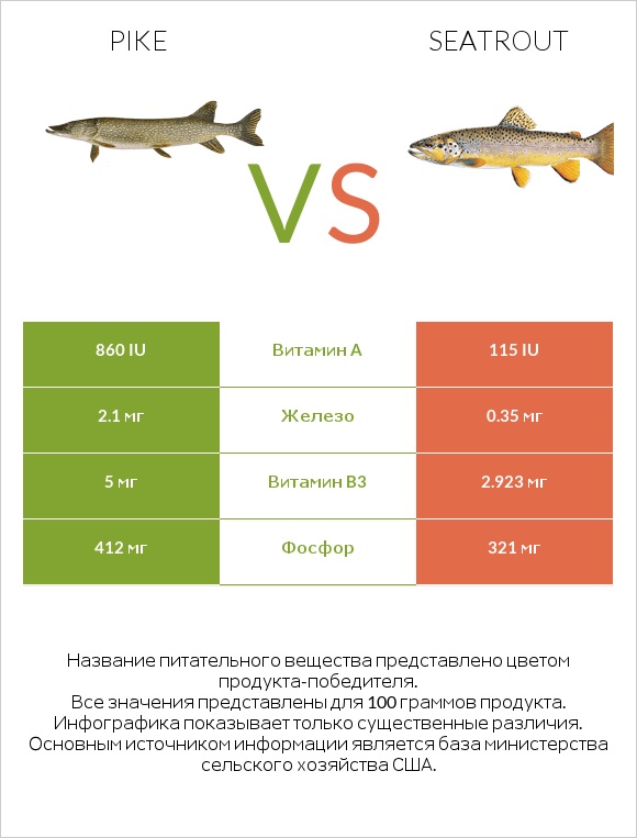 Pike vs Seatrout infographic