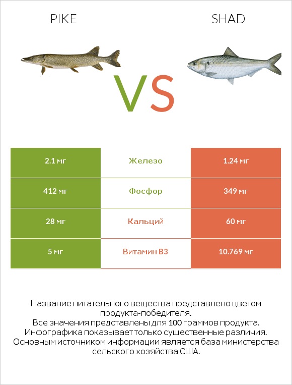 Pike vs Shad infographic