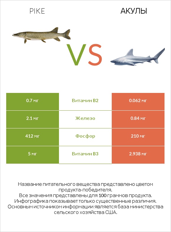 Pike vs Акула infographic
