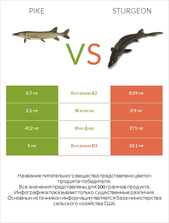 Pike vs Sturgeon infographic