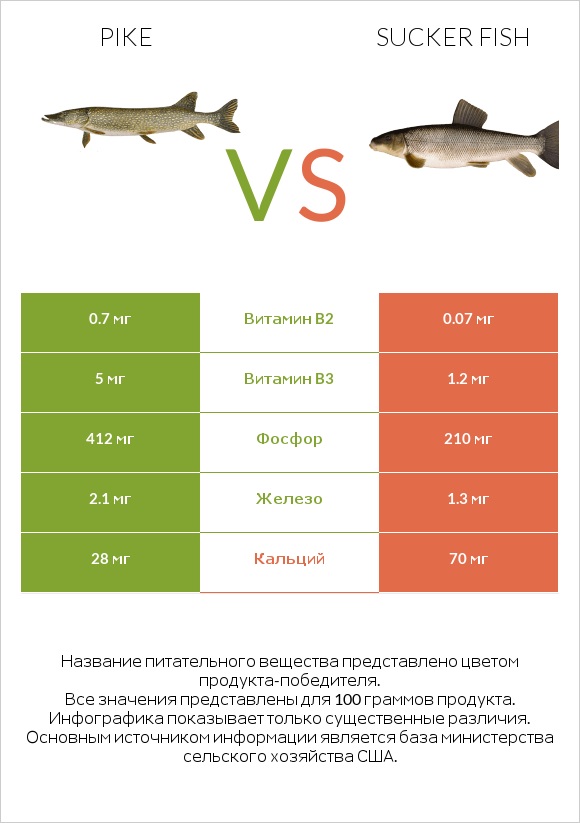 Pike vs Sucker fish infographic
