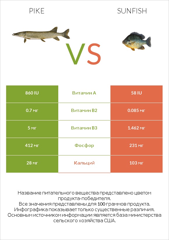 Pike vs Sunfish infographic