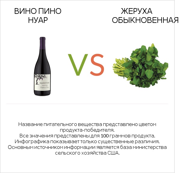 Вино Пино Нуар vs Жеруха обыкновенная infographic