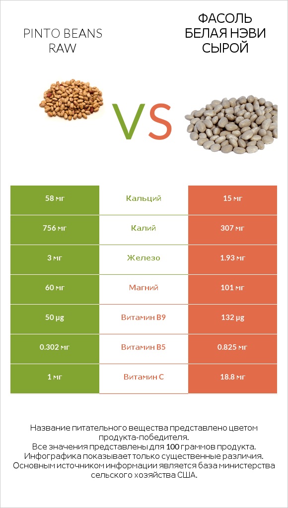 Pinto beans raw vs Фасоль белая нэви сырой infographic