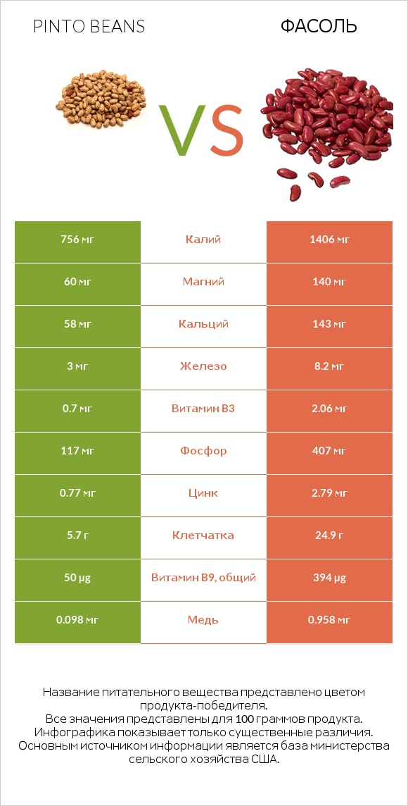 Pinto beans vs Фасоль infographic