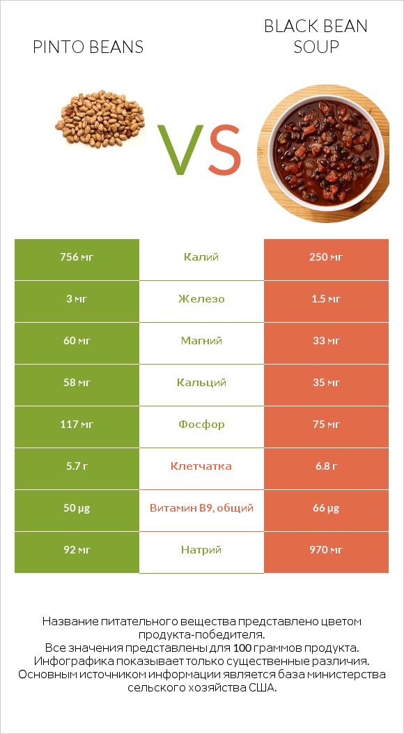 Pinto beans vs Black bean soup infographic