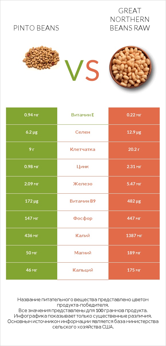 Pinto beans vs Great northern beans raw infographic