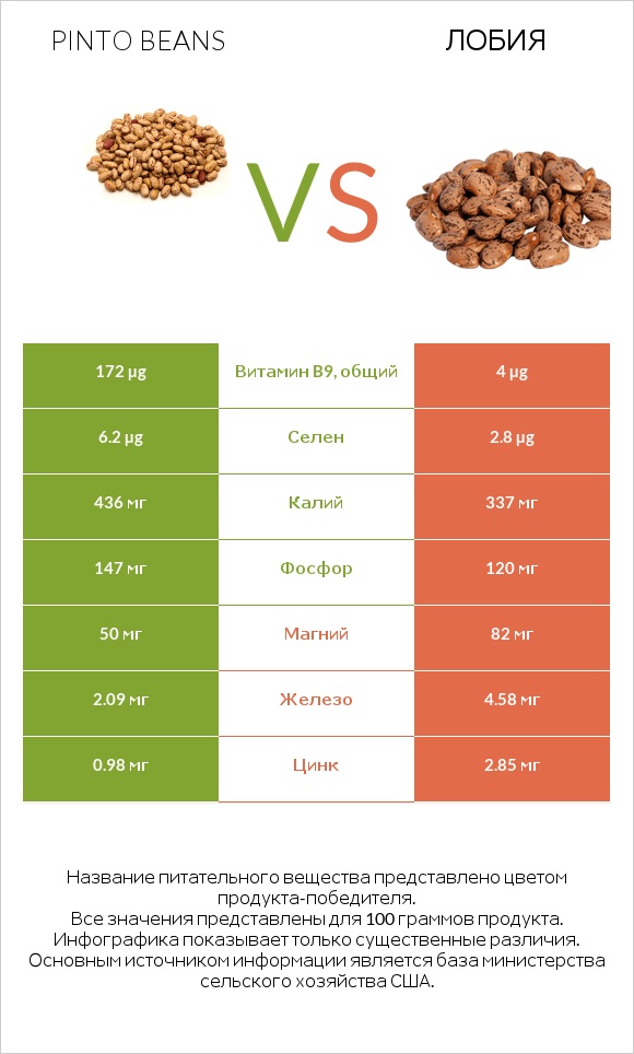 Pinto beans vs Лобия infographic