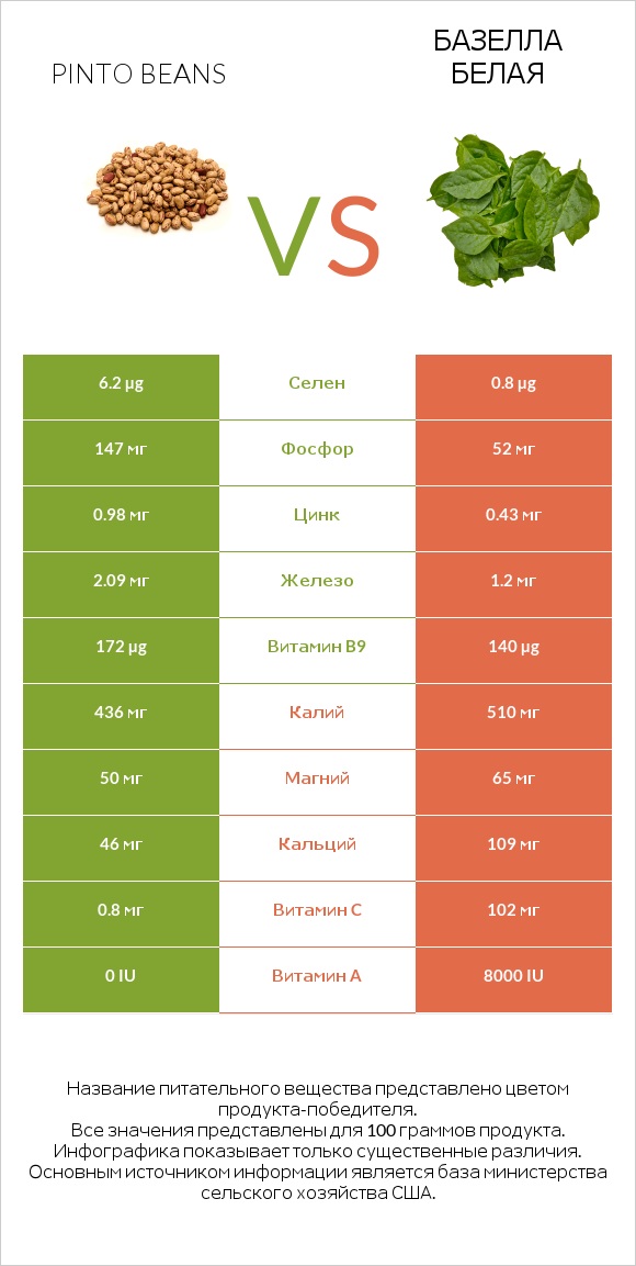 Pinto beans vs Базелла белая infographic