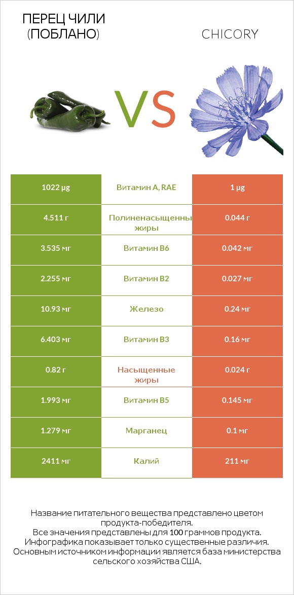 Перец чили (поблано)  vs Chicory infographic