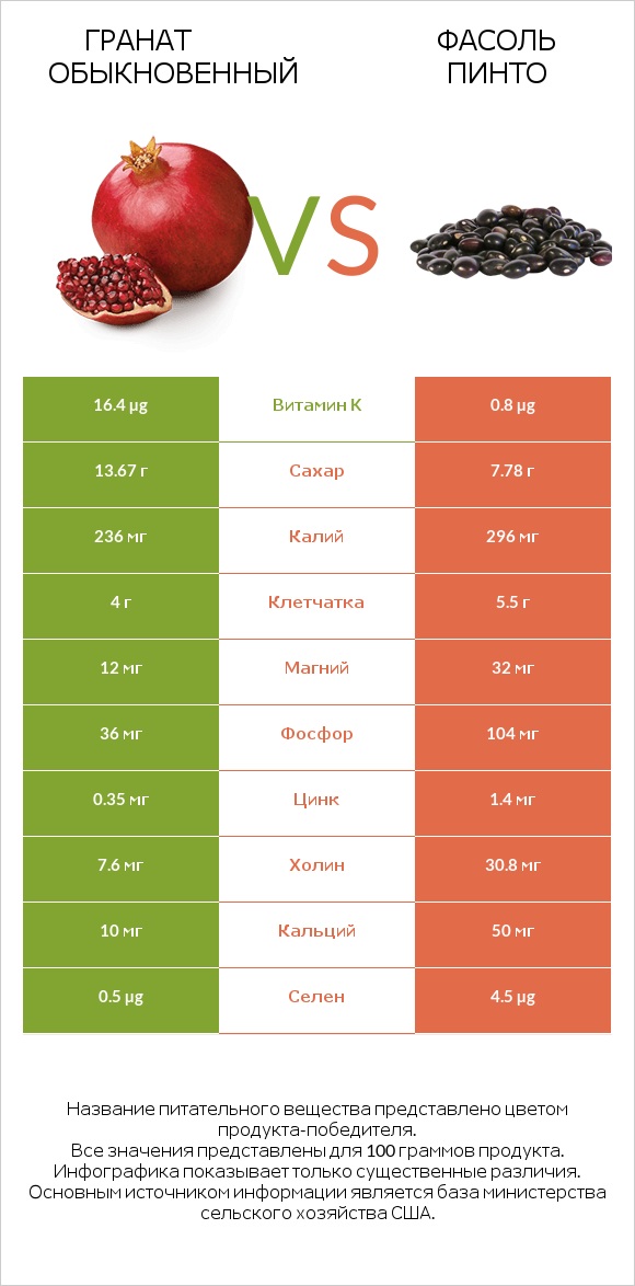 Гранат обыкновенный vs Фасоль пинто infographic