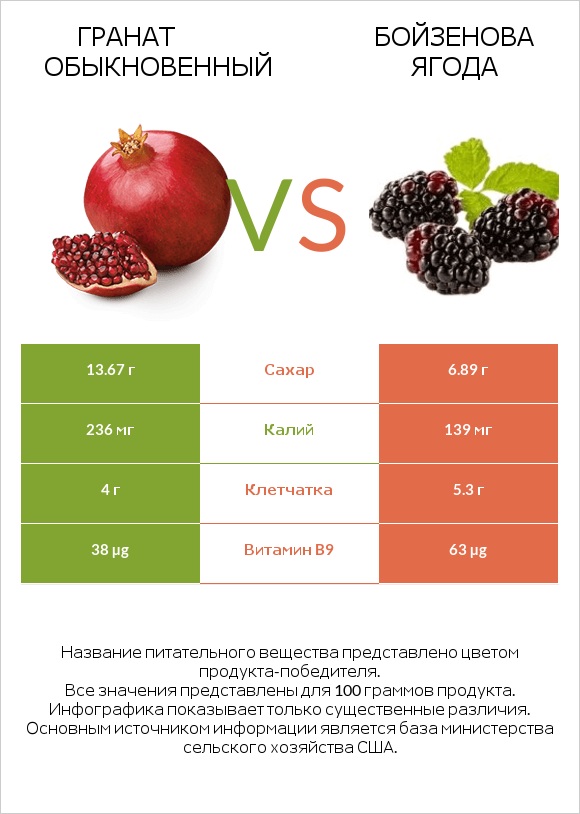 Гранат обыкновенный vs Бойзенова ягода infographic