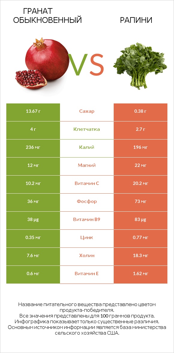 Гранат обыкновенный vs Рапини infographic