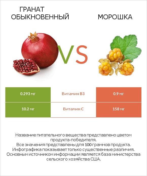 Гранат обыкновенный vs Морошка infographic