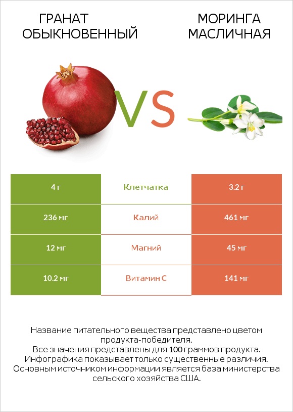 Гранат обыкновенный vs Моринга масличная infographic