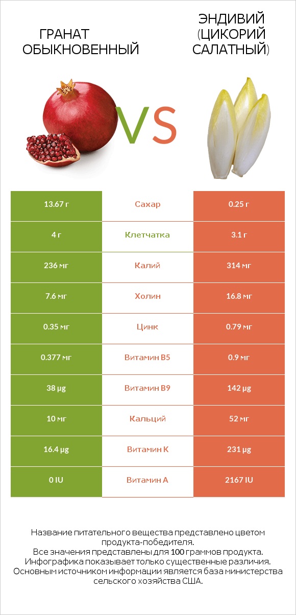 Гранат обыкновенный vs Эндивий (Цикорий салатный) infographic