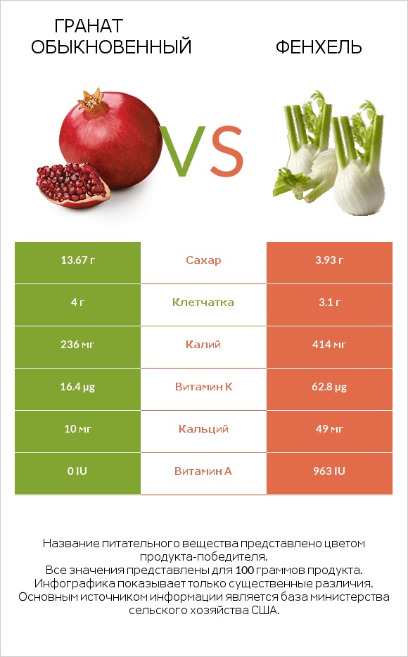 Гранат обыкновенный vs Фенхель infographic