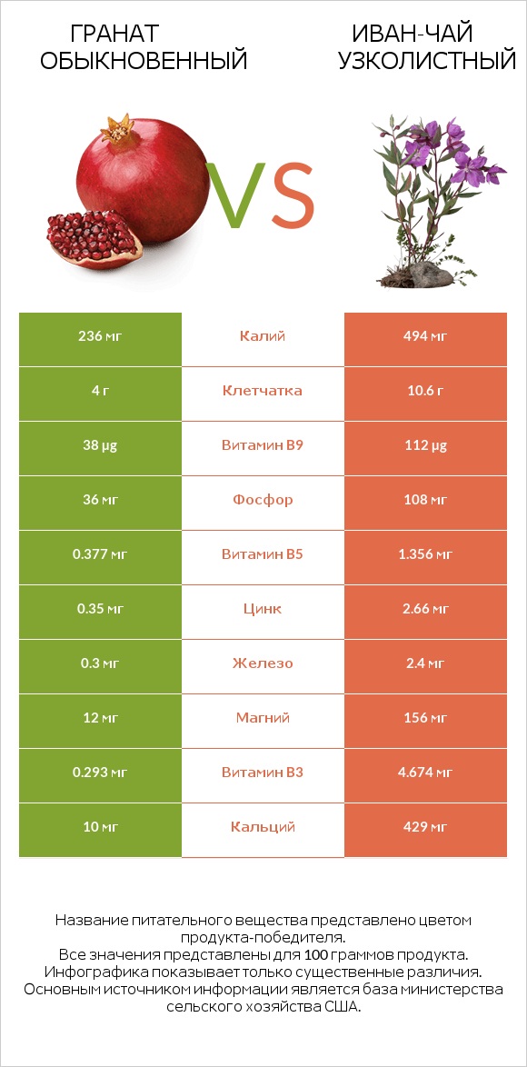 Гранат обыкновенный vs Иван-чай узколистный infographic