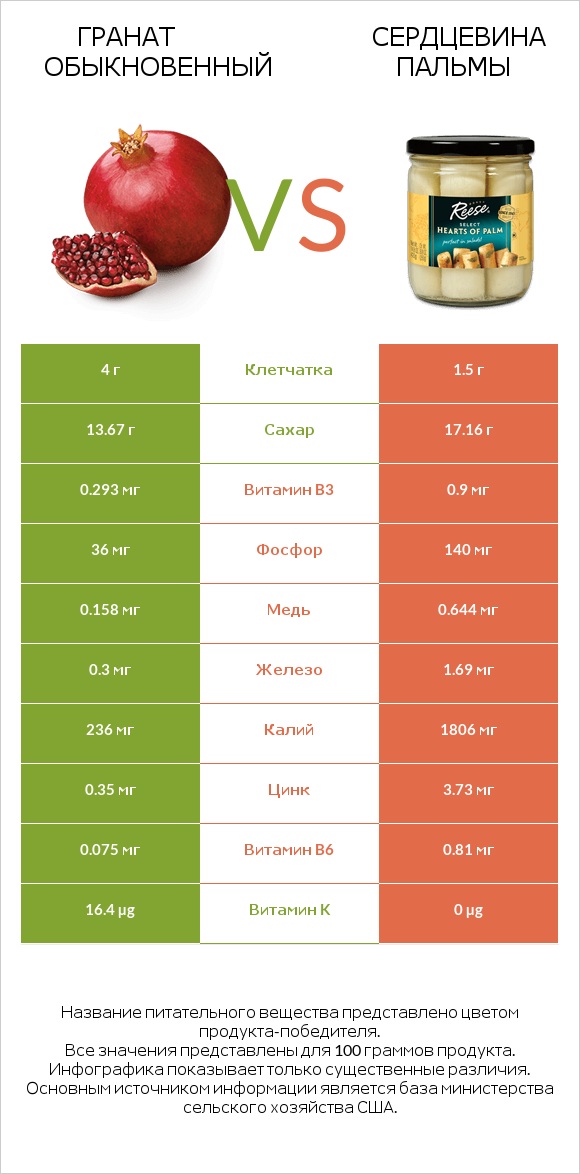 Гранат обыкновенный vs Сердцевина пальмы infographic
