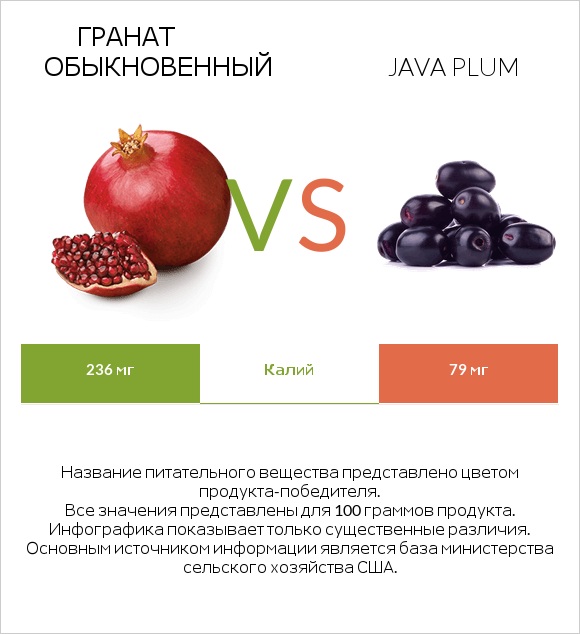 Гранат обыкновенный vs Java plum infographic