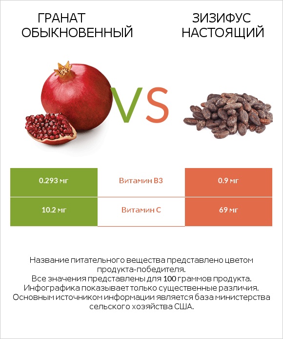 Гранат обыкновенный vs Зизифус настоящий infographic