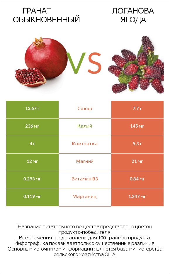 Гранат обыкновенный vs Логанова ягода infographic