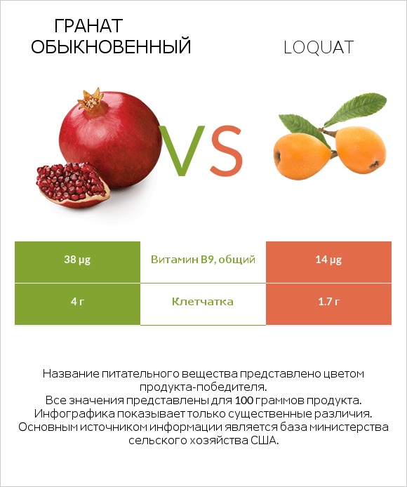 Гранат обыкновенный vs Loquat infographic