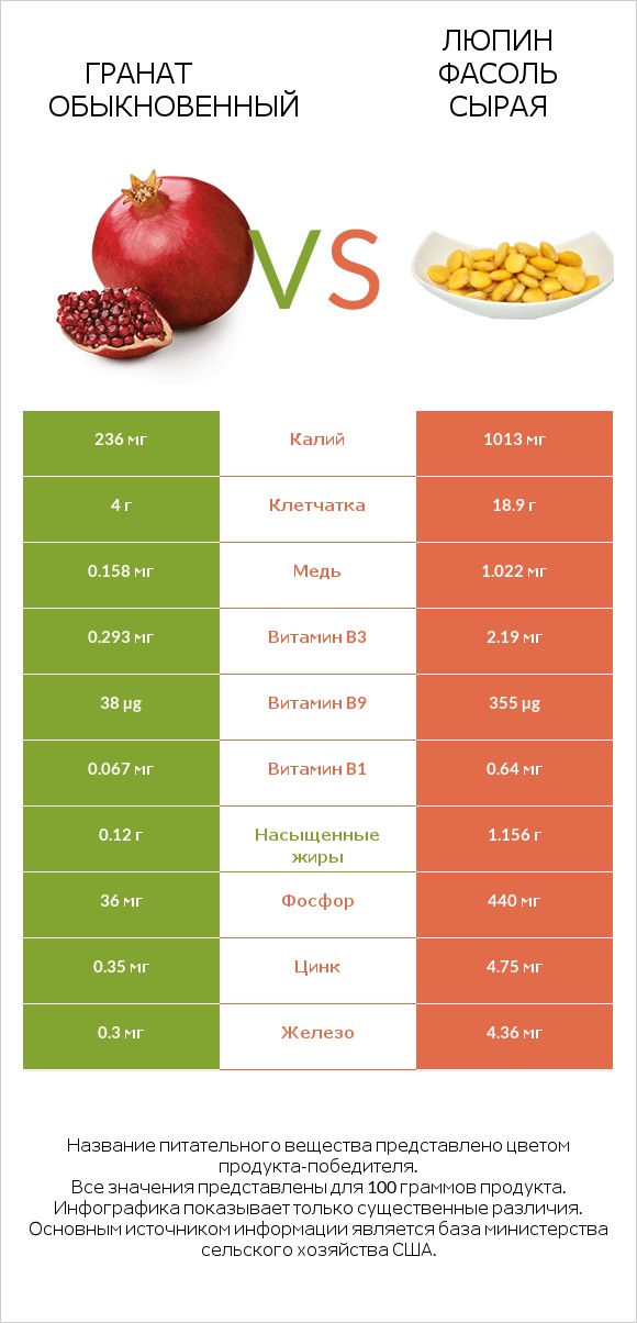 Гранат обыкновенный vs Люпин Фасоль сырая infographic