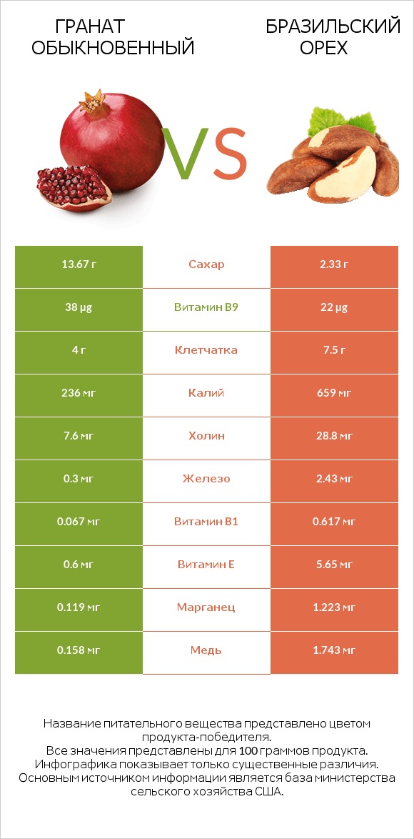 Гранат обыкновенный vs Бразильский орех infographic