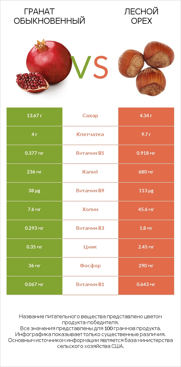 Гранат обыкновенный vs Лесной орех infographic