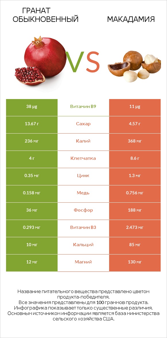 Гранат обыкновенный vs Макадамия infographic