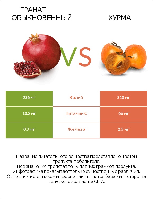 Гранат обыкновенный vs Хурма infographic