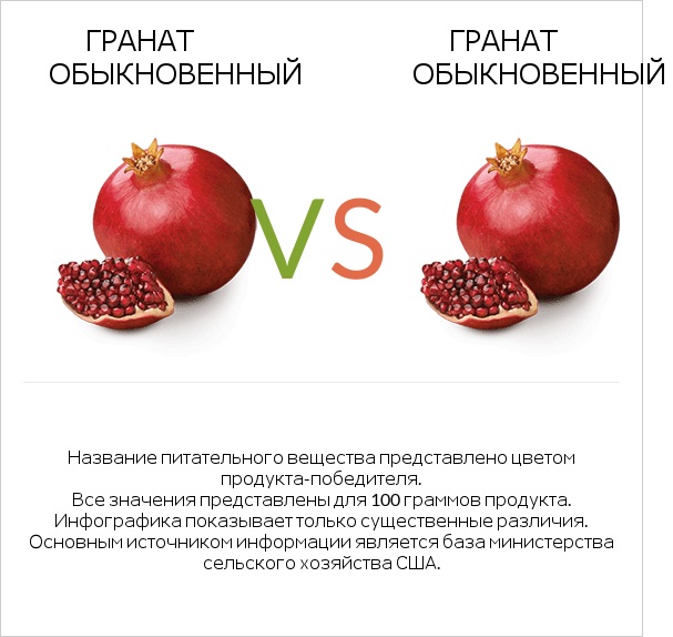 Гранат обыкновенный vs Гранат обыкновенный infographic