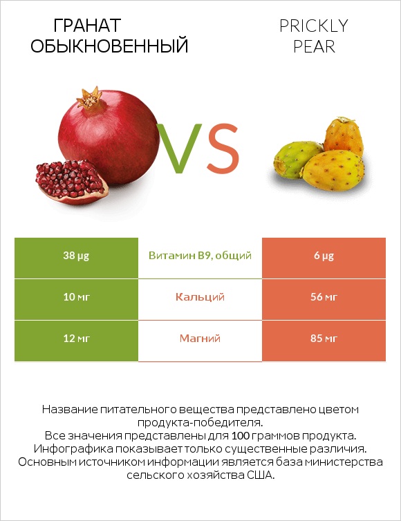 Гранат обыкновенный vs Prickly pear infographic