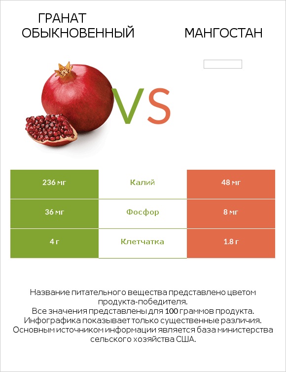 Гранат обыкновенный vs Мангостан infographic