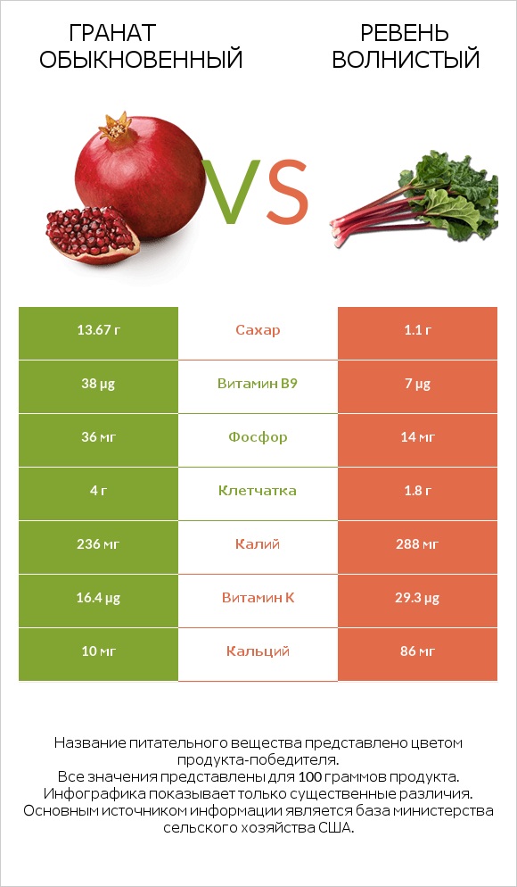 Гранат обыкновенный vs Ревень волнистый infographic