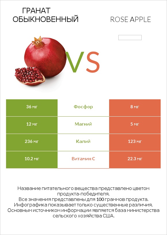 Гранат обыкновенный vs Rose apple infographic